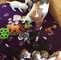 Cachorros beagle en adopción - Foto 1