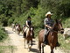 Excursion a caballo 1h y 1/2 en el montseny