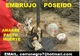 Hechizos malignos ..!-- un ritual de muerte - Foto 1