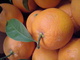 Naranjas recién recolectadas !!!! - Foto 2