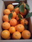 Naranjas recién recolectadas !!!! - Foto 3