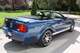 2009 Ford Mustang 45th Anniversary Edition - Foto 3