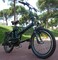 Bicicleta Eléctrica Plegable Soonerbike Lifepo4 - Foto 2