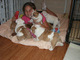 Lindos cachorros de bulldog ingles para adopcion - Foto 1