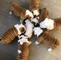 Bulldogs puppies for adoption whatsapp: +491636591714