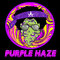 Flor CBD - 1gr Purple Haze - Foto 1