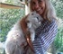 62hermoso gatito siberiano para adopción