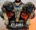 Cachorros de presa canario - Foto 1