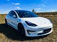 2019 Tesla Model 3 Long Range AWD 498 - Foto 1