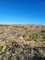Finca de 11,5 ha con casa