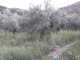 Venta finca en vega alta en la peza
