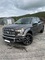 2016 Ford Serie F 3.5-370 Platino AWD - Foto 1