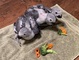 Trained African Grey Parrots For Adoption - Foto 1