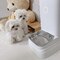 Regalo hermosos cachorros malteses
