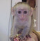 Regalo Monos Capuchinos para nuevo Hogar - Foto 2
