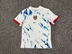 Noruega 2024-25 Eurocopa Thai Camiseta y shorts mas baratos - Foto 4