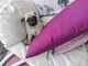 Cachorros pug machos y hembras en adopción