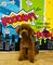 Caniche toy rojo busca novias