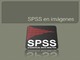 Programa spss para todos los máster y grados