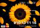 Tarot profesional a su alcance 910131116