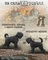 Cachorros terrier ruso negro