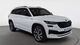 2023 skoda kodiaq 2.0 tdi sportline 4x2 dsg 150 cv