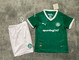 Camisa palmeiras 2025-26 thai camiseta mas baratos