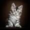 Maine coon kittens: https://angelicexoticcattery.com