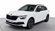 Skoda kamiq 1.5 tsi montecarlo 150