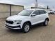 Skoda karoq garantia 12 meses