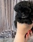 Microchip. cachorro maltipoo