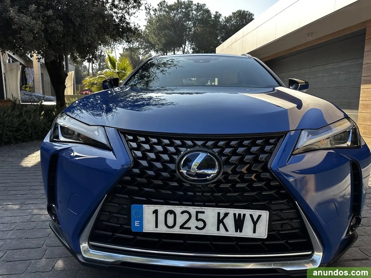 Brugt Lexus Ux 250h