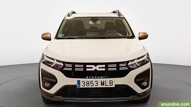 Brugt Dacia Sandero 
